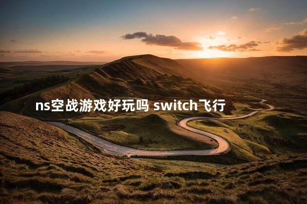 ns空战游戏好玩吗 switch飞行射击游戏